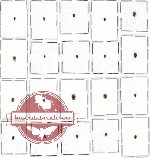 Scientific lot no. 30 Buprestidae (Trachyni spp.) (20 pcs)