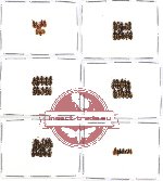 Scientific lot no. 168 Carabidae (54 pcs)