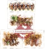 Scientific lot no. 38 Heteroptera (45 pcs A, A-, A2)