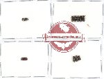 Bostrichidae Scientific lot no. 15 (10 pcs)