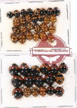 Scientific lot no. 61 Coccinelidae (44 pcs)