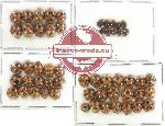 Scientific lot no. 60 Coccinelidae (55 pcs)