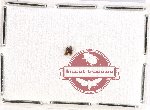 Silvanidae Scientific lot no. 1AB (2 pcs)