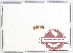 Scientific lot no. 95 Erotylidae (4 pcs)