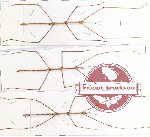 Scientific lot no. 13 Phasmatodea (3 pcs)