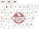 Scientific lot no. 12CC Formicidae (49 pcs)