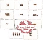 Anthicidae Scientific lot no. 3 (34 pcs)