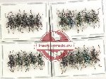 Scientific lot no. 851 Curculionidae (20 pcs)
