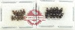 Hydrophilidae Scientific lot no. 300 (20 pcs)