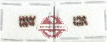 Scientific lot no. 178 Dytiscidae (20 pcs)