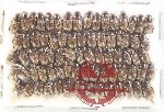 Scientific lot no. 869 Coprophaga (76 pcs)