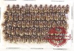 Scientific lot no. 868 Coprophaga (72 pcs)