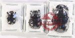 Scientific lot no. 899 Coprophaga (3 pcs)
