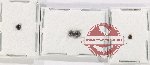 Scientific lot no. 128 Coccinelidae (4 pcs)