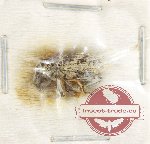 Scientific lot no. 993 Curculionidae (1 pc)