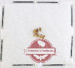 Scientific lot no. 994 Curculionidae (7 pcs)