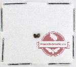 Scientific lot no. 135 Coccinelidae (2 pcs)