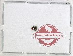 Cybocephalidae Scientific lot no. 1 (2 pcs)