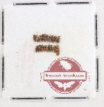 Silvanidae Scientific lot no. 16 (18 pcs)