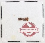Silvanidae Scientific lot no. 15 (9 pcs)