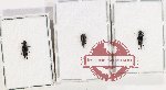 Scientific lot no. 81 Mordellidae (3 pcs)
