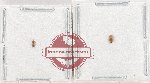 Scientific lot no. 200 Scolytidae (2 pcs)