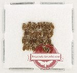 Scientific lot no. 1506 Heteroptera (36 pcs)