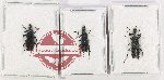 Scientific lot no. 23 Prionoceridae (3 pcs)