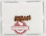 Scientific lot no. 60 Languridae (7 pcs)