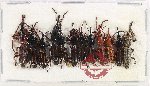 Scientific lot no. 177 Brenthidae (12 pcs)