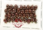 Scientific lot no. 764 Chrysomelidae (34 pcs)
