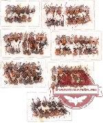 Scientific lot no. 8 Attelabidae (124 pcs)