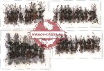 Scientific lot no. 15 Brenthidae (34 pcs)